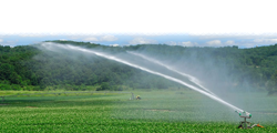 Agriculture and irrigation