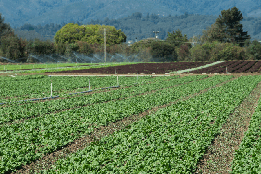 Securing a Reliable Water Source for Farmers During the Dry Season 1 GettyImages 488649960